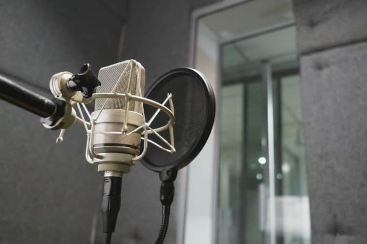 What Does a Condenser Mic Do? Microphone Basics
